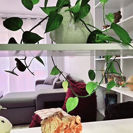 Micasatucasa Tirana 아파트 외부 사진