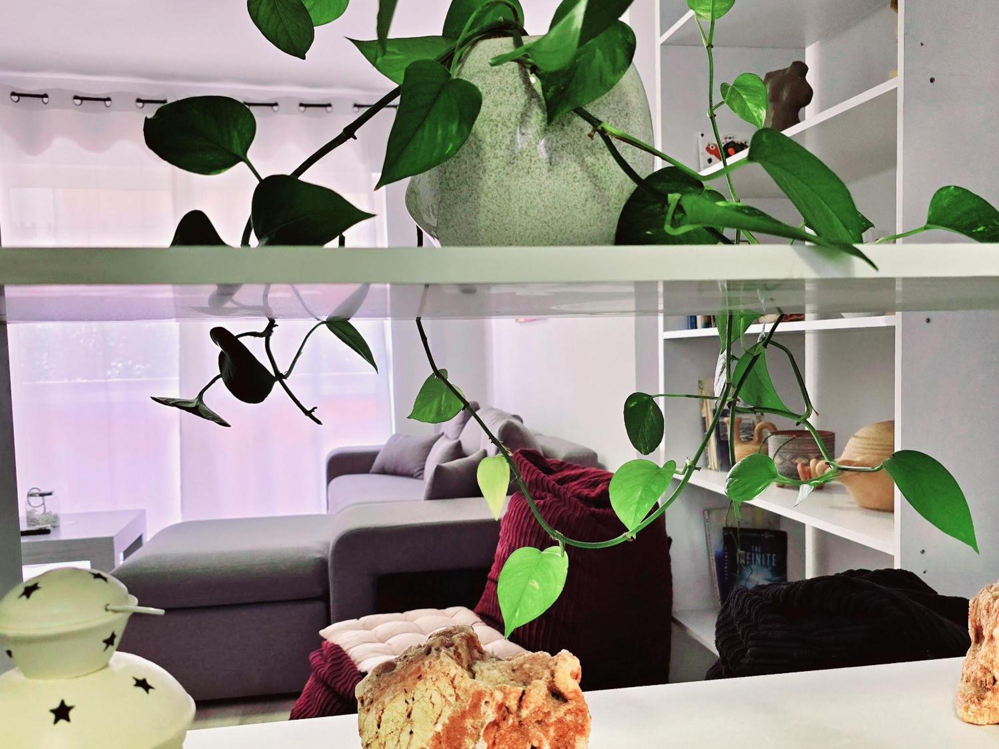 Micasatucasa Tirana 아파트 외부 사진